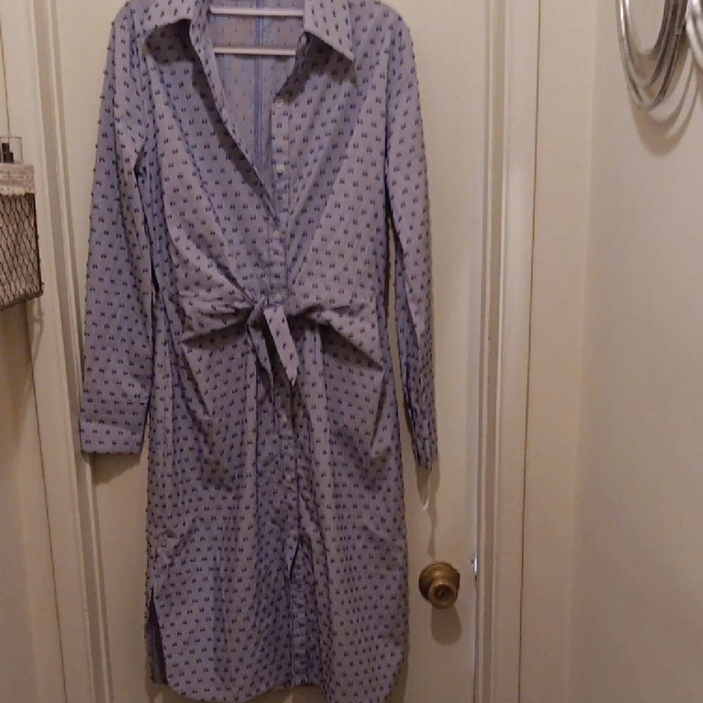 Hawana Blue Accented Shirt Dress